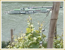 schiff rhein